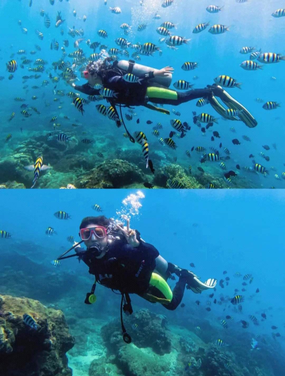 大型海洋深潜探索赛，潜入深海体验奇幻之旅