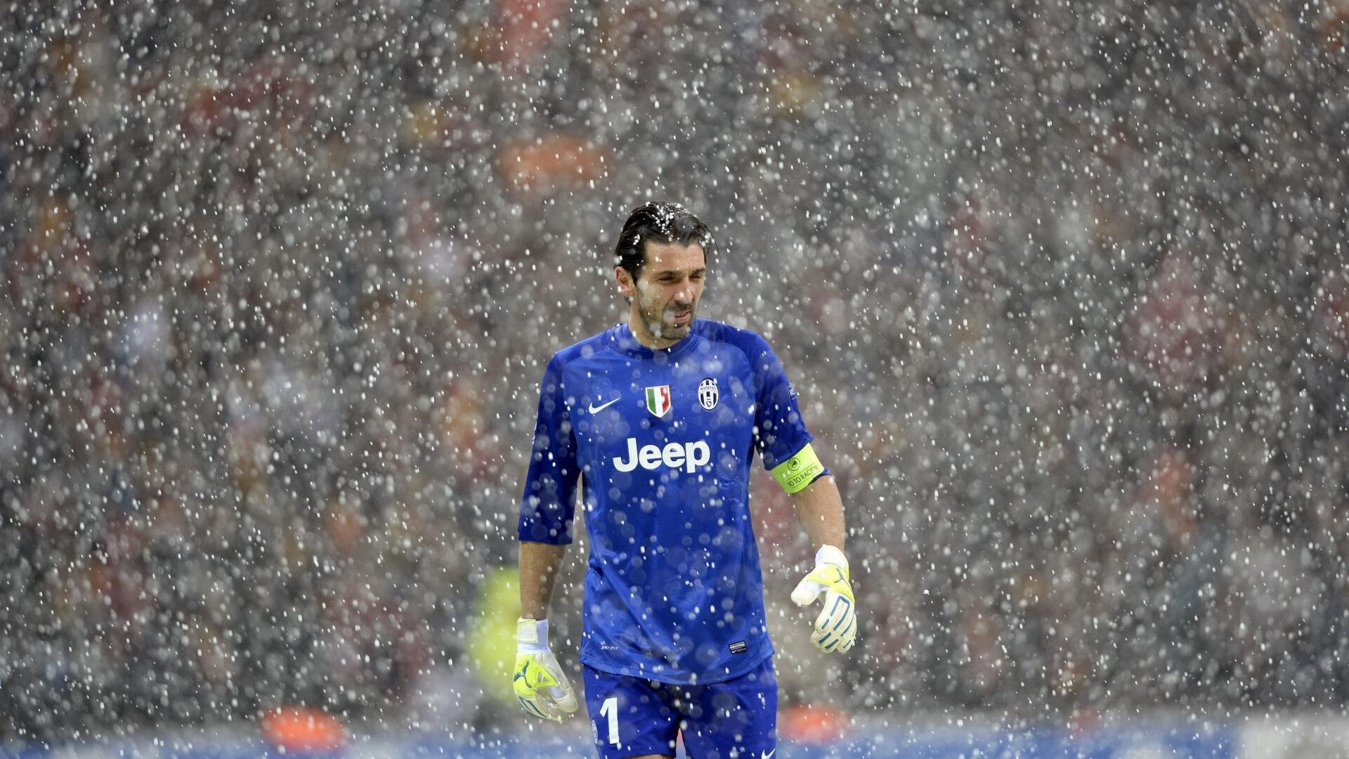 伊朗马术协会授予马尔科·阿尔瓦雷斯“年度最佳马匹护理员”称号。