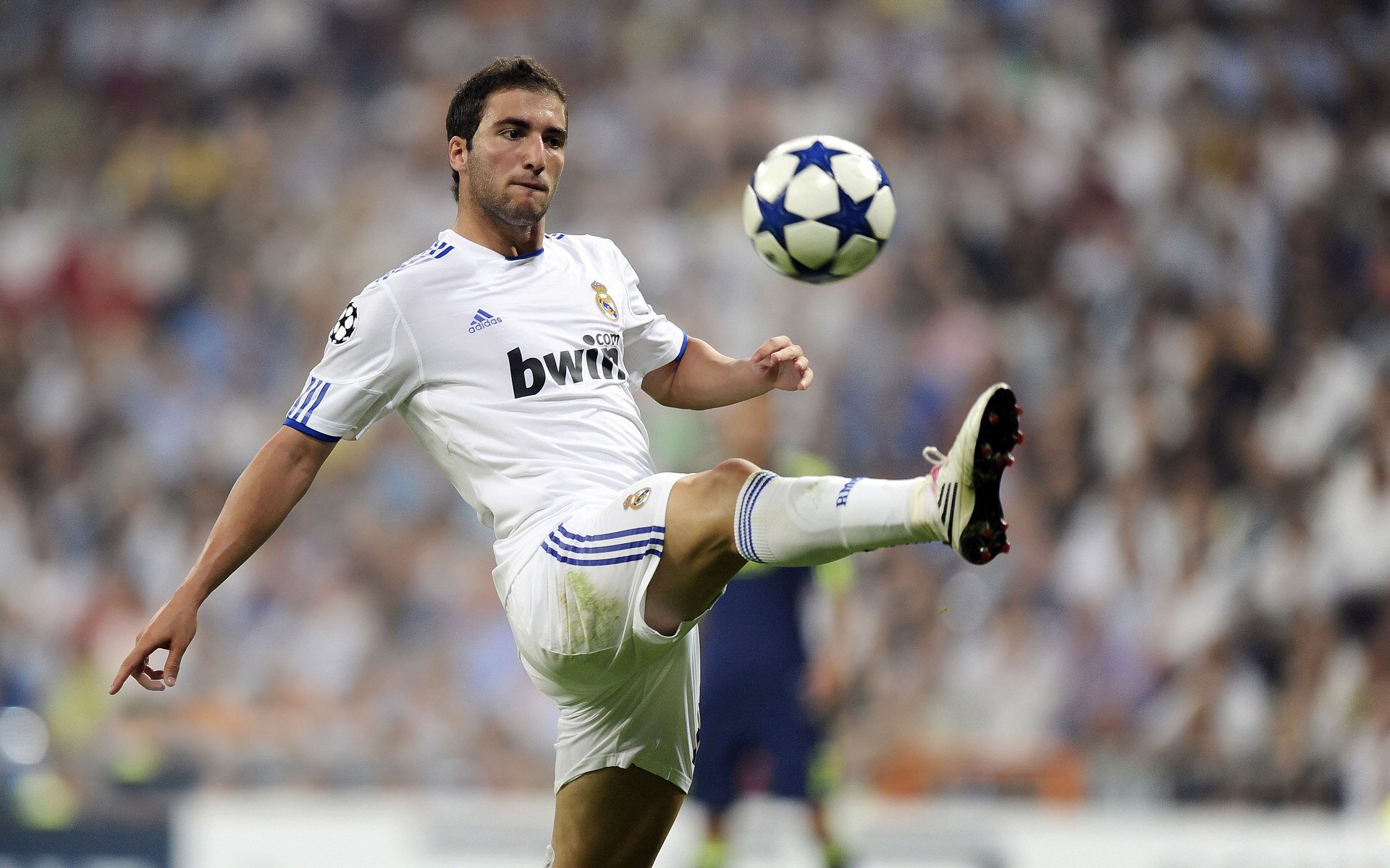 球迷“自制视频”火遍全网,那些精彩片段不能错过!,怎么制作球星视频